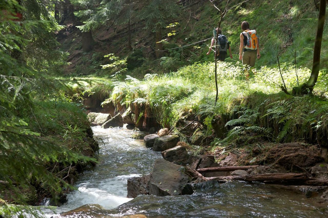 Ferienoase Hinterhermsdorf Buitenkant foto